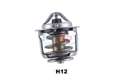 Thermostat, Kühlmittel