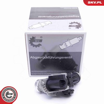 SUPAPA EGR ESEN SKV 14SKV185