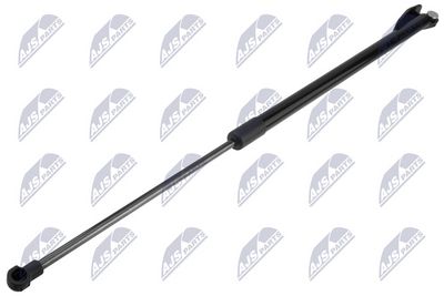 Dujinė spyruoklė, bagažinė