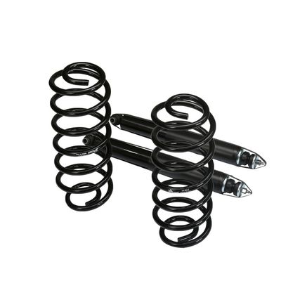 FAHRWERKSSATZ FEDERN/DäMPFER Arnott C2615 32