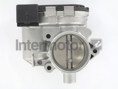 Throttle Body Intermotor 68385