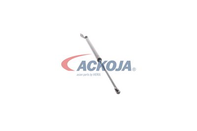 FILTRU AER ACKOJA A320034 21