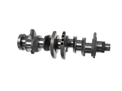 ARBORE COTIT ET ENGINETEAM HK0230 6