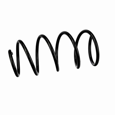 ARC SPIRAL EIBACH R10404 6