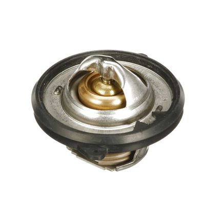 TERMOSTAT LICHID RACIRE GATES TH73954G1 29