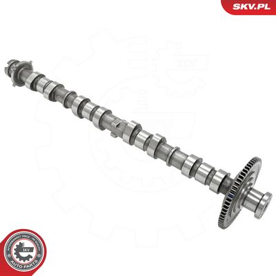 Vačkový hřídel ESEN SKV 80SKV063