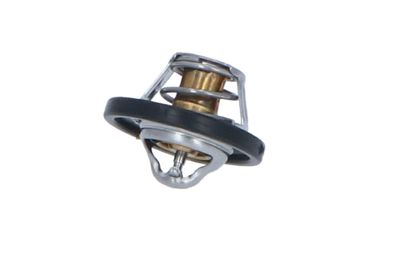 TERMOSTAT LICHID RACIRE NRF 725187 21