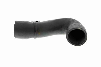 FURTUN EAR SUPRAALIMENTARE VAICO V103829 1