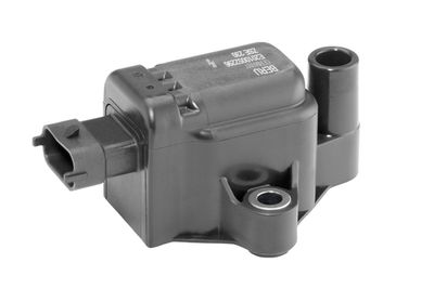 BorgWarner (BERU) Ritė, uždegimas