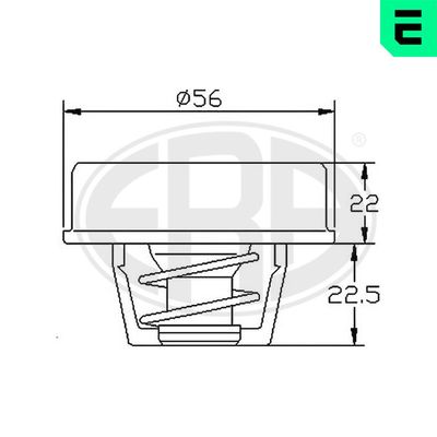 TERMOSTAT LICHID RACIRE