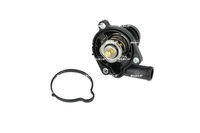 TERMOSTAT LICHID RACIRE