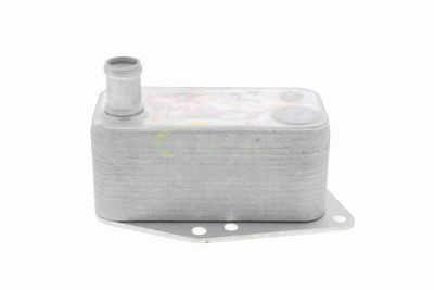 RADIATOR ULEI ULEI MOTOR VEMO V20600043 1