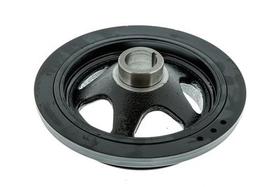FULIE CUREA ARBORE COTIT AISIN PDAMB700