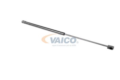 AMORTIZOR CAPOTA VAICO V250517 17