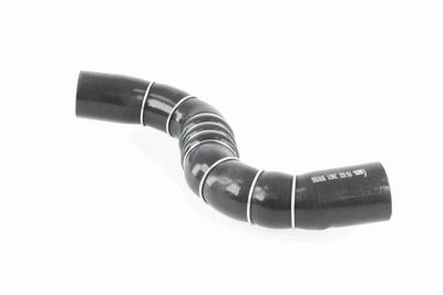 FURTUN EAR SUPRAALIMENTARE ACKOJA A389602 6
