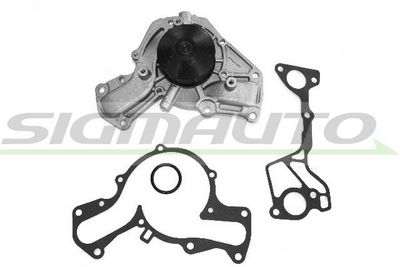 POMPă DE APă RăCIRE MOTOR