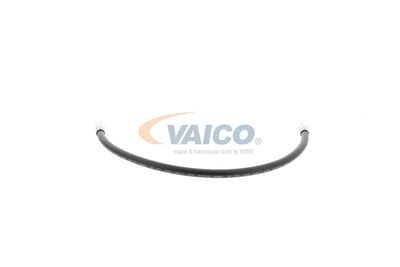 FURTUN FRANA VAICO V309926 35