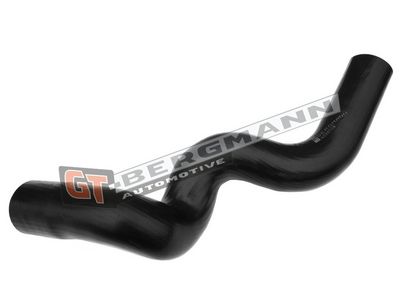 GT-BERGMANN Automotive - Hadica plniaceho vzduchu (hadica turba) VW, AUDI , GT52-120