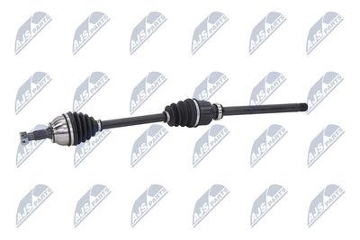 PLANETARA NTY NPWCT081 22