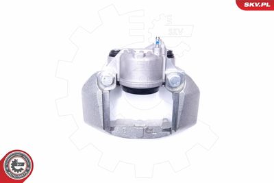 Brake Caliper 42SKV111