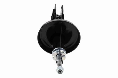 AMORTIZOR ACKOJA A380455 6