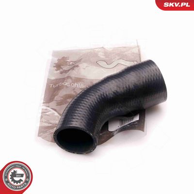 FURTUN EAR SUPRAALIMENTARE