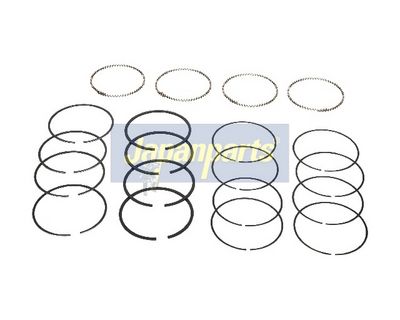 SEGMENT PISTON