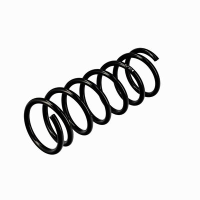 ARC SPIRAL EIBACH R10118 16