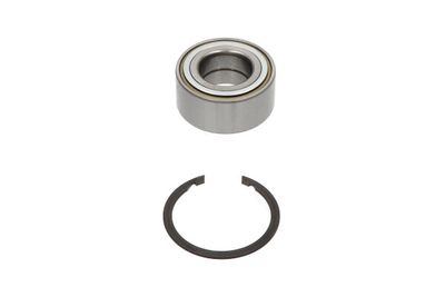 Kavo Parts Rato guolio komplektas