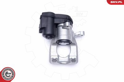 Brake Caliper 55SKV984