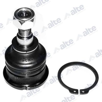 ARTICULATIE SARCINA/GHIDARE