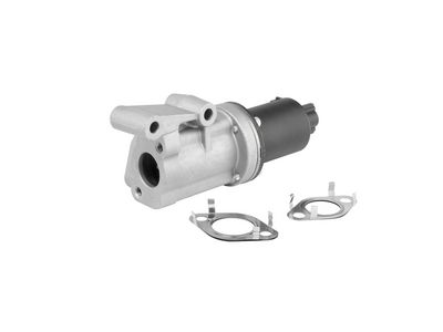 SUPAPA EGR BorgWarner 712005R 3