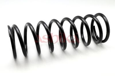 ARC SPIRAL