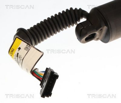 Amortizor portbagaj TRISCAN 8710 11379