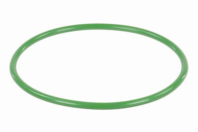 SISTEM ALIMENTARE CU COMBUSTIBIL ACKOJA A52090029 4