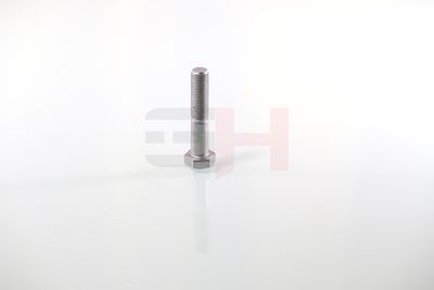 SURUB CAPAT DE AX GH GH392360 40