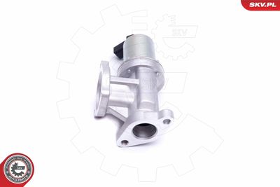 EGR Valve 14SKV209