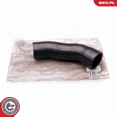 FURTUN EAR SUPRAALIMENTARE