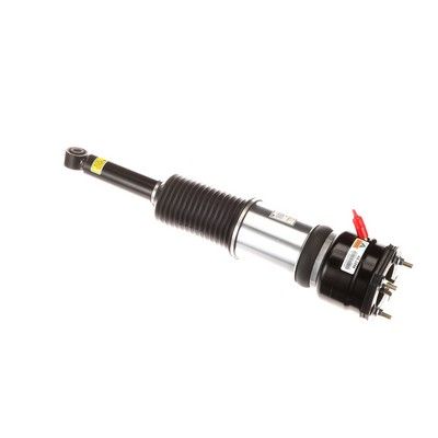 LUFTFEDERBEIN Arnott AS2856 66