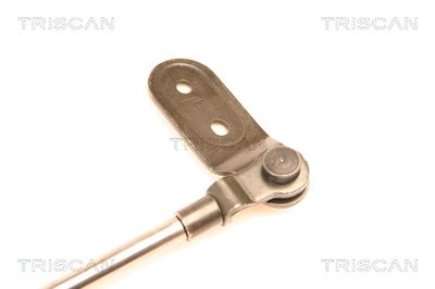 AMORTIZOR PORTBAGAJ KAWE 871018201 2