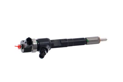 INJECTOR REMANTE 002003001717R 38