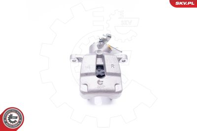 Brake Caliper 34SKV564