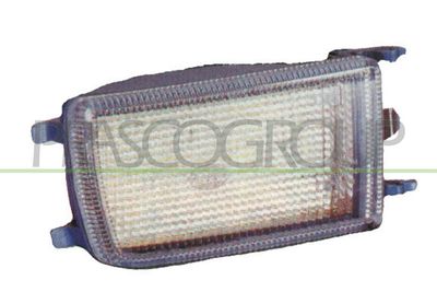 SEMNALIZATOR PRASCO VG0324013