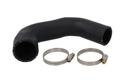 FURTUN EAR SUPRAALIMENTARE