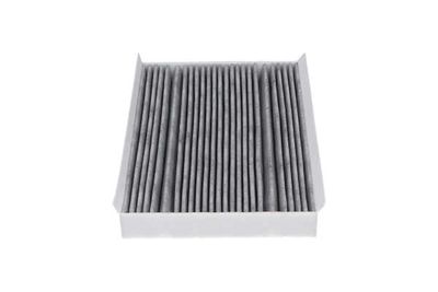 FILTRU AER HABITACLU AMC Filter FCA10022C 10