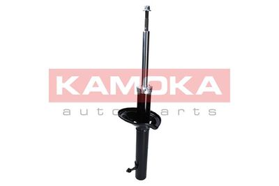 Shock Absorber 2000281