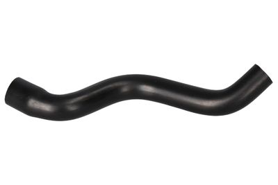 FURTUN ULEI BIRTH 56007 7