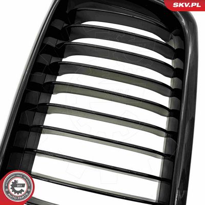 GRILA RADIATOR ESEN SKV 66SKV212 7