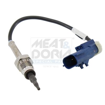 Sensor, Abgastemperatur