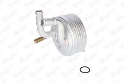 RADIATOR ULEI ULEI MOTOR BIRTH 80138 3